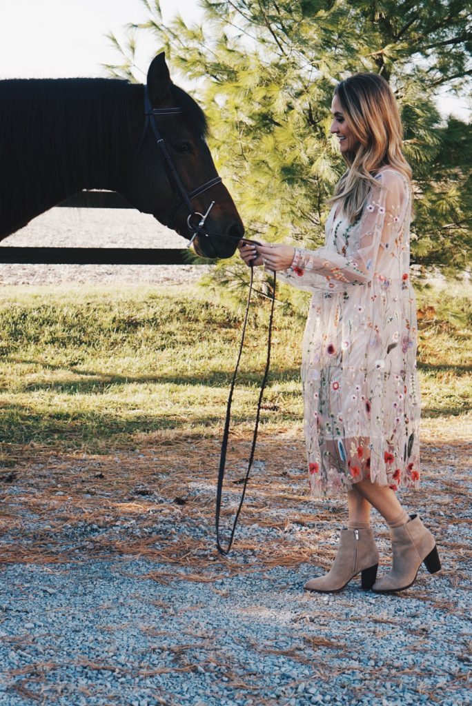 Embroidered holiday dress