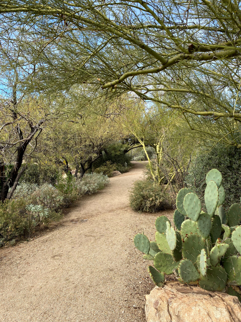 Scottsdale four seasons trails